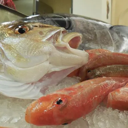 Marechiaro 4* Gizzeria