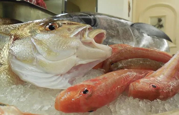 Marechiaro 4* Gizzeria